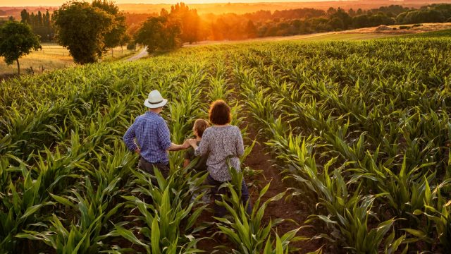 Agrofamílias: as repercussões do agronegócio no Direito de Família e Sucessões