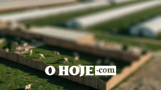 Europa endurece regras sanitárias e amplia pressão sobre frigoríficos em Goiás